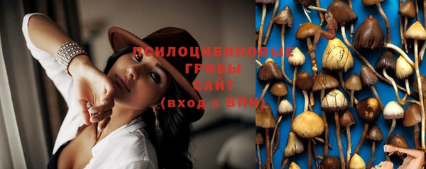 прущая мука Магадан