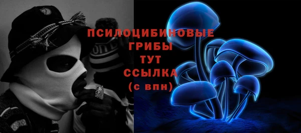 прущая мука Магадан
