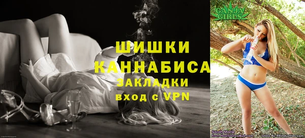 крисы Мегион
