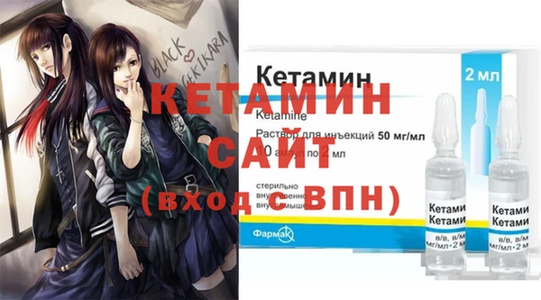 крисы Мегион
