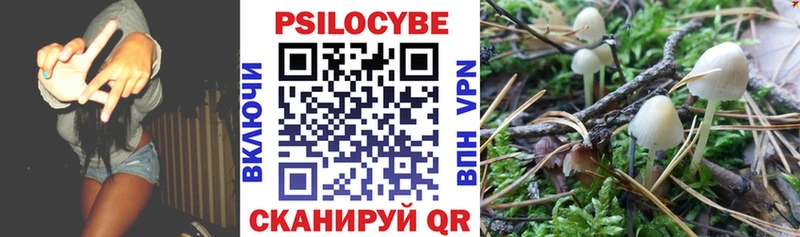 Псилоцибиновые грибы Cubensis как найти закладки Мичуринск